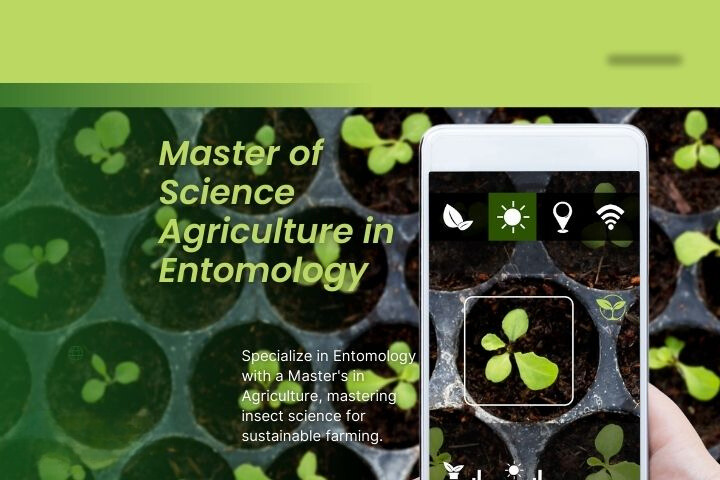 MSc Agriculture Entomology | GHRU Saikheda