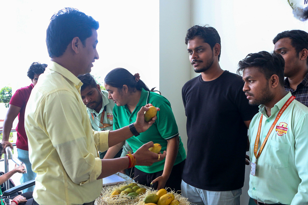 Mango Fest 2024  | GHRU Saikheda