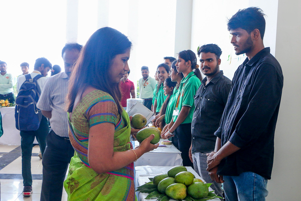 Mango Fest 2024  | GHRU Saikheda